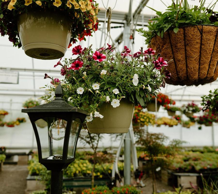 Sunshine Nursery Too