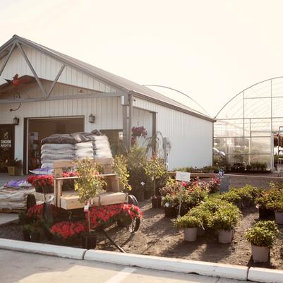 Sunshine Nursery Too